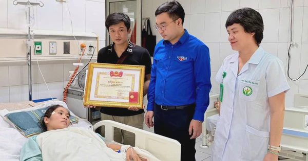 Cô giáo cứu bé trai 2 tuổi ở Nghệ An được tuyên dương Thanh niên sống đẹp