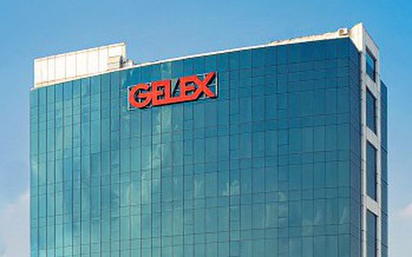 Cổ phiếu 'họ Gelex' đồng loạt giảm kịch sàn