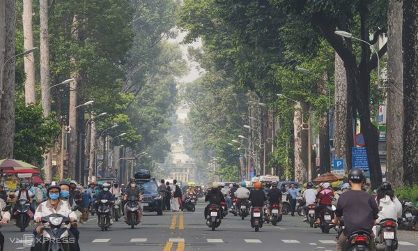 Cổ thụ giữa phố TP HCM tiềm ẩn nguy cơ gãy đổ, đè người