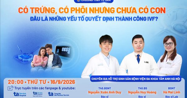 Có trứng, có phôi vẫn chưa có con: Vì sao IVF chưa thành công?