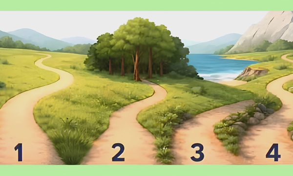 Con đường lựa chọn tiết lộ bạn dũng cảm hay hèn nhát?