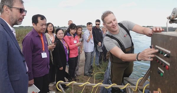 Con giun biển Hà Lan và 'nút thắt' tôm giống ở miền Tây