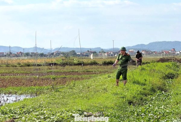 Công an lội ruộng gỡ 'ma trận' bẫy, ngăn nạn tận diệt chim trời