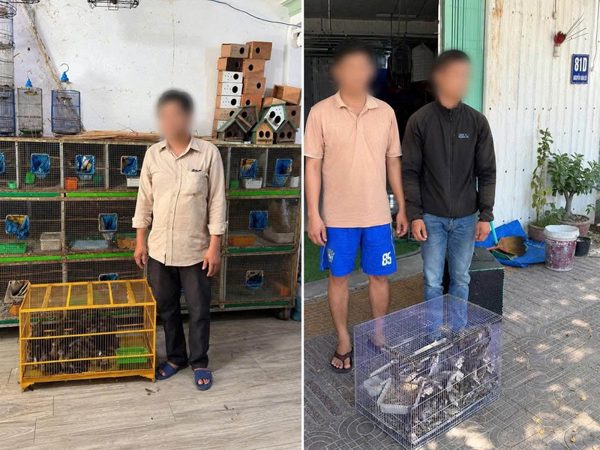 Công an phát hiện 290 chim cảnh không rõ nguồn gốc