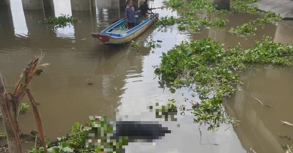 Công an TP.HCM tìm thân nhân thi thể nam giới dưới chân cầu Bình Phước 2