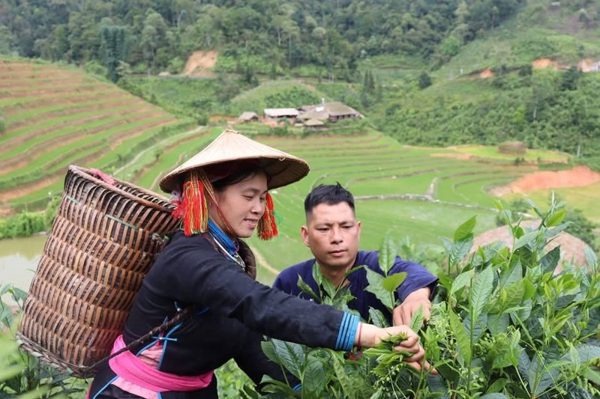 Công bằng ngay từ điều kiện phát triển