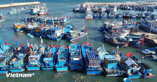 Công bố thủ tục mới về xác nhận nguồn gốc thủy sản khai thác ở ba cấp