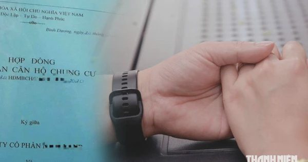 'Công chúa phòng trọ', 'thiếu gia ở ghép': Đặt tiêu chuẩn trong tình yêu là thực dụng?