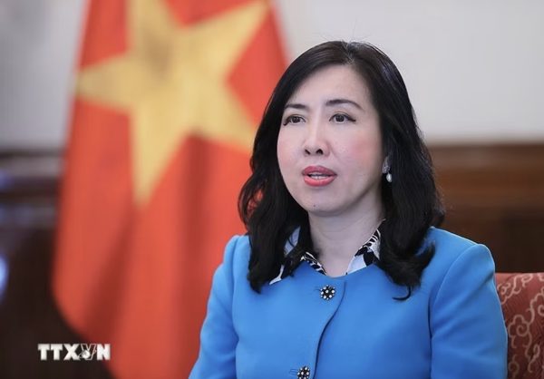 Cộng đồng người Việt Nam ở nước ngoài là nguồn lực chiến lược quan trọng