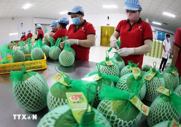 Công nghệ bảo quản tăng sức cạnh tranh cho nông sản Việt