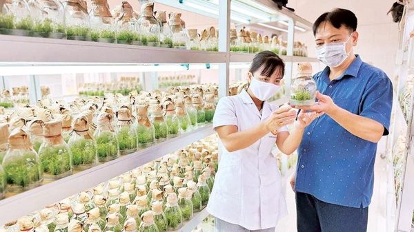 Công nghệ cao mở hướng phát triển nông nghiệp xanh