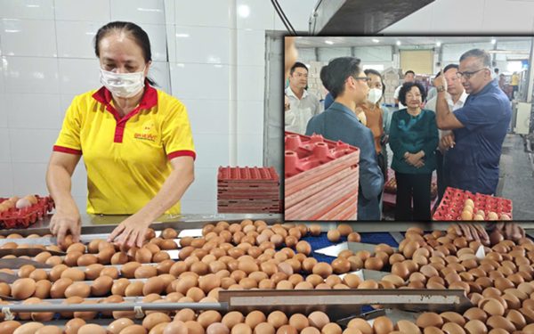 Công ty Ba Huân nợ hơn 600 tỉ đồng, bị xiết nợ hàng chục 'dãy chuồng gà'