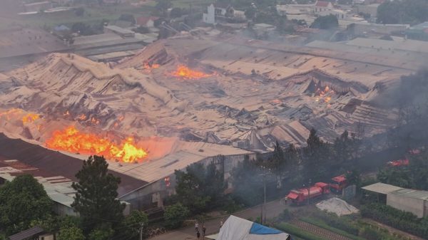 Công ty gỗ ở Đồng Nai cháy lớn, nhà xưởng đổ sập