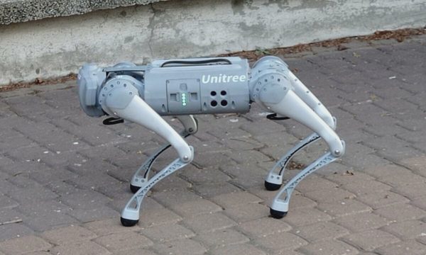 Công ty Mỹ tuyển người dắt chó robot đi dạo