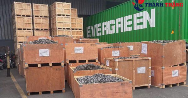 Công ty Phế liệu Thành Thắng hướng nguồn nguyên liệu vào chuỗi tái chế