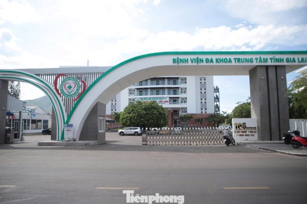Công ty Việt Mỹ trúng những gói thầu nào tại Gia Lai?