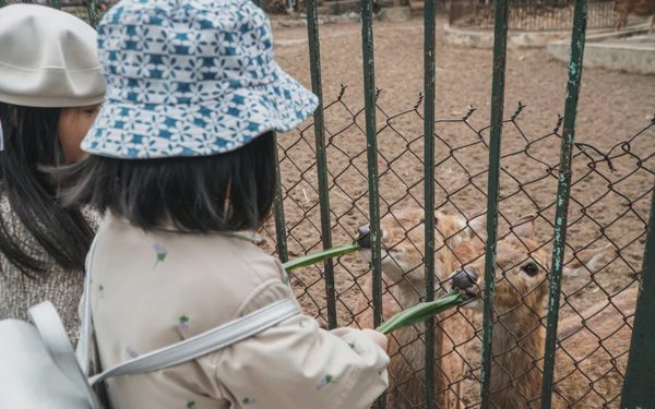Công viên Thủ Lệ dự kiến mở cửa tự do phần lớn diện tích, có khu nuôi thú bán tự nhiên