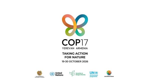 COP17: Đàm phán vẫn bế tắc khi bước vào giai đoạn cuối