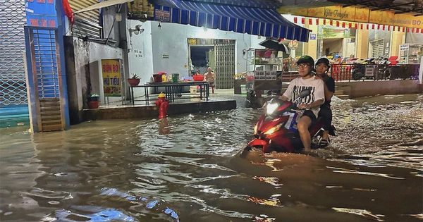 Cốt nền TP.HCM: Đang xây cho trận ngập nào?