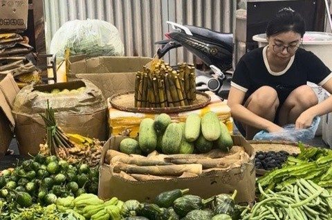 Cử nhân Luật bỏ việc về bán rau, có ngày ship 200 kg