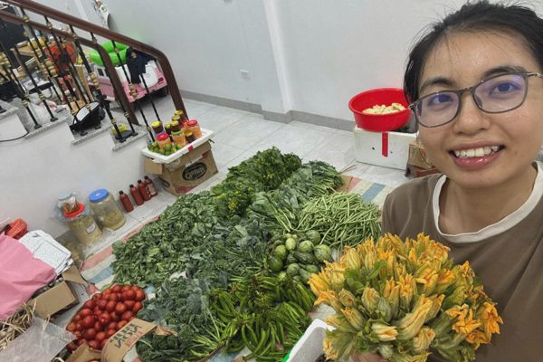 Cử nhân Luật ở Hà Nội bỏ việc về bán rau, chồng cũng nghỉ làm ở nhà phụ vợ