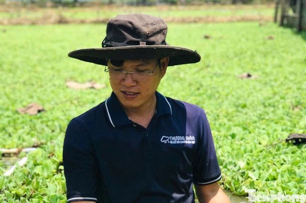 Cử nhân luật về quê nuôi ốc từ ao hoang, tạo sinh kế cho thanh niên