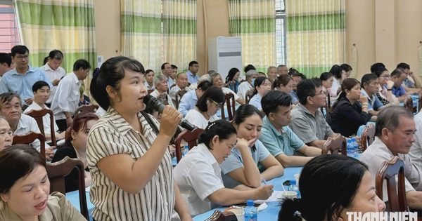 Cử tri TP.HCM đề nghị xem xét chính sách thuế chuyển mục đích, tách thửa đất
