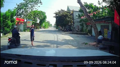 Cưa cây đổ ra đường, đè chết người đi xe máy