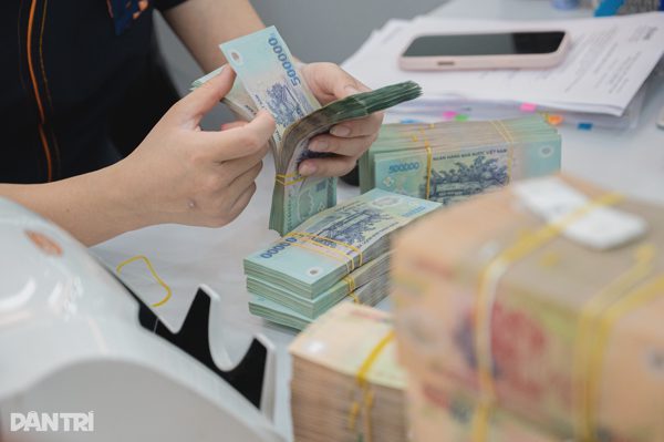 Cục Thuế: Không phát sinh số thuế phải nộp không đồng nghĩa được miễn khai