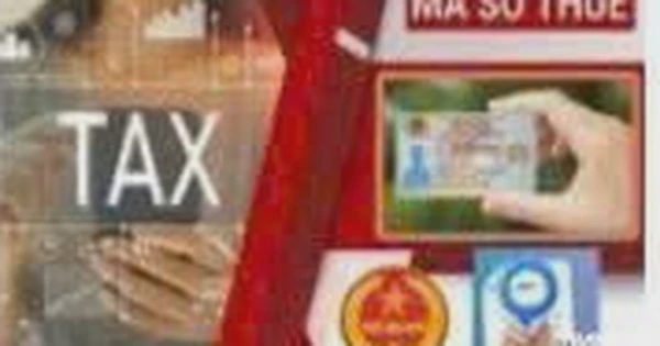 Cục Thuế nghiên cứu cơ chế tháo gỡ trường hợp mã số thuế 03, 06