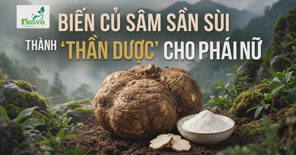 Cùng sống xanh 164: Theo chồng ở Hoàng Liên Sơn, cô ba Hồng biến sâm tố nữ thành chất giúp phụ nữ đẹp hơn