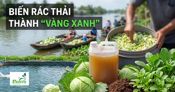 Cùng sống xanh 165: Biến rác trên sông thành dinh dưỡng cho cây xanh