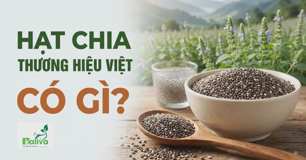 Cùng sống xanh 168: Vì sao hạt chia trồng tại Việt Nam có chất lượng top đầu thế giới?