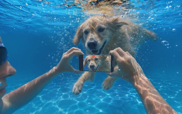 Cuộc đua smartphone cuối năm: Camera tự xoay, pin 'khủng' 10.000mAh