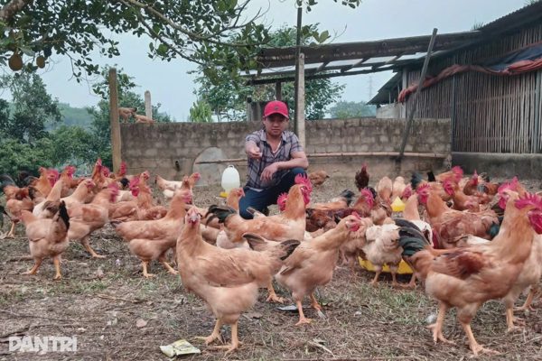 Cuộc gọi nhầm số dẫn tới hành trình đổi đời của đôi vợ chồng bỏ phố về quê