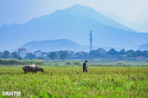 Cuộc sống bình yên của người dân vùng đệm trước đề xuất sáp nhập về Hà Nội
