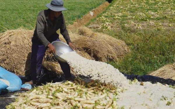 Cuộc thi Lan tỏa năng lượng tích cực 2026: Bỏ phố về quê, nâng tầm đặc sản Vĩnh Châu
