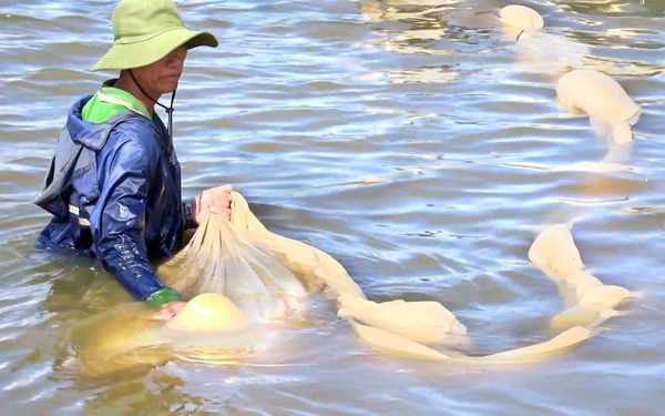 Cuộc thi Lan tỏa năng lượng tích cực 2026: Mùa nước nổi mang sinh kế về cho người dân