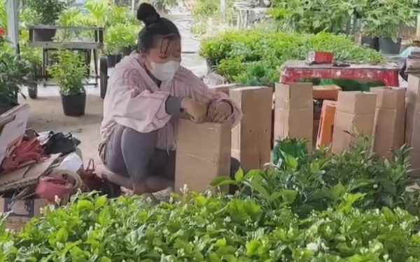 Cuộc thi Lan tỏa năng lượng tích cực 2026: Nông dân Sa Đéc xóa tư duy mùa vụ nhờ kinh tế số