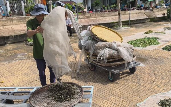 Cuộc thi Lan tỏa năng lượng tích cực 2026: Tình thương nơi chùa thuốc Nam ở làng hoa Sa Đéc