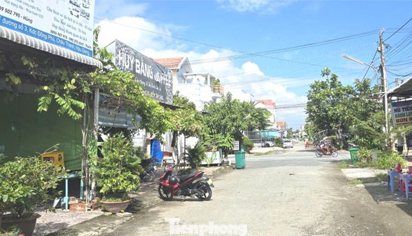 Cuộc truy lùng doanh nghiệp 'ma' và nỗi khổ mang tên 'giám đốc'