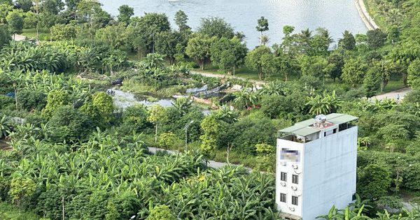 Cựu bí thư phường được giao đất chính sách sai đối tượng