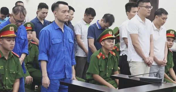 Cựu công an lãnh 12 năm tù vì lừa 'chạy án' cho trùm sữa giả