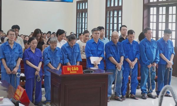 Cựu tổng giám đốc Đồ hộp Hạ Long nhận 17 năm tù trong vụ mua 197 tấn thịt lợn bệnh