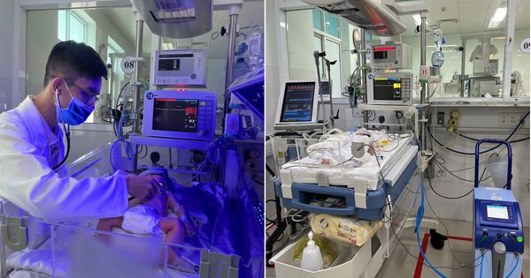 Cứu trẻ sơ sinh bị ngạt bằng kỹ thuật hạ thân nhiệt chỉ huy