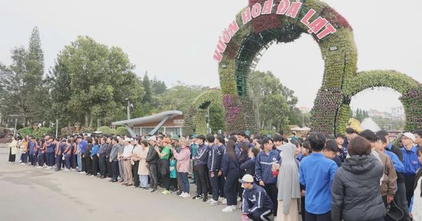Đà Lạt đồng loạt làm sạch phố phường, trồng hoa đón Festival Hoa 2026