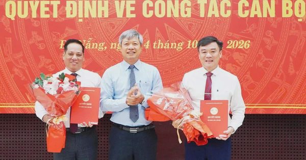 Đà Nẵng bổ nhiệm hiệu trưởng Trường cao đẳng Y tế, Phó giám đốc Sở Ngoại vụ