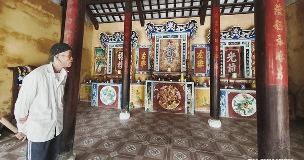 Đà Nẵng chi gần 400 tỉ đồng bảo tồn rừng thiêng Trung Sơn