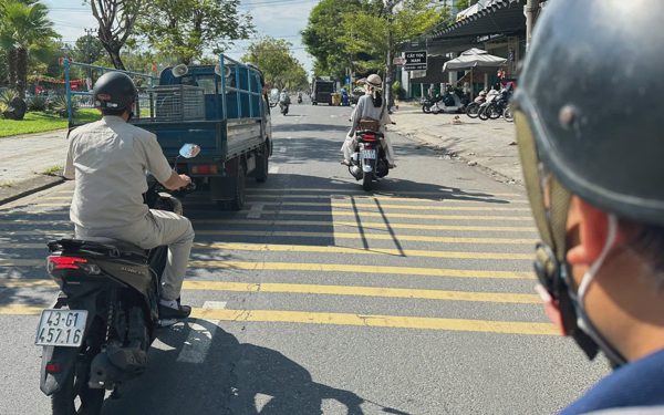Đà Nẵng lập khu nuôi nhốt chó thả rông, quá 48 giờ không ai nhận sẽ xử lý