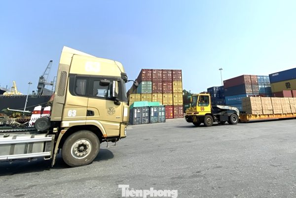 Đà Nẵng phát triển dịch vụ logistics theo hướng xanh, bền vững